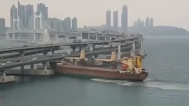 Barcos Chocando Contra Puentes | Los Peores Capitanes De Barco