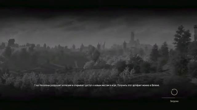 Шitcher 3 домашняя охота 🤫 смотреть онлайн