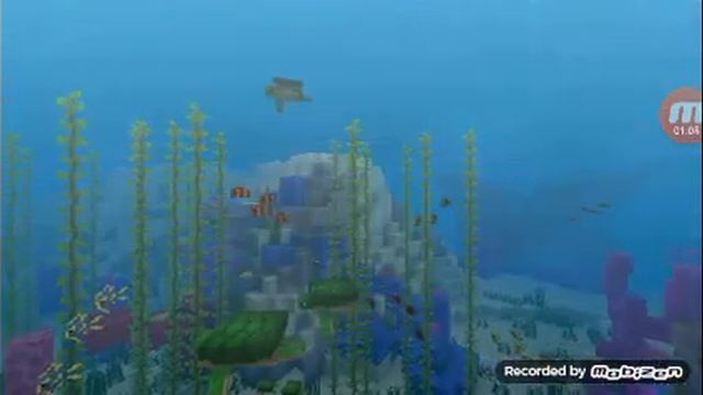 как войти на сервер без Xbox live в майнкрафт 1.5.1 смотреть онлайн