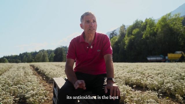 Edelweiss Sourcing Story смотреть онлайн