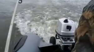 обкатка лодочного мотора sea-pro  F5  4 тактный