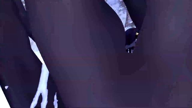 The Hunt is Coming | Star Stable | The Witcher 3 смотреть онлайн