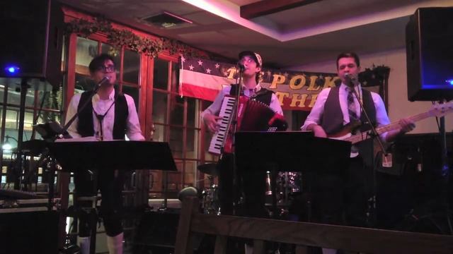 Cecilia - The Polka Brothers - Simon & Garfunkel Cover смотреть онлайн
