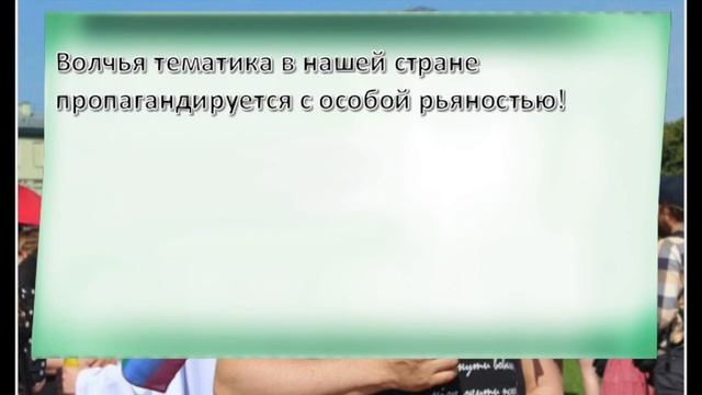 Фурри. Зона растления! смотреть онлайн