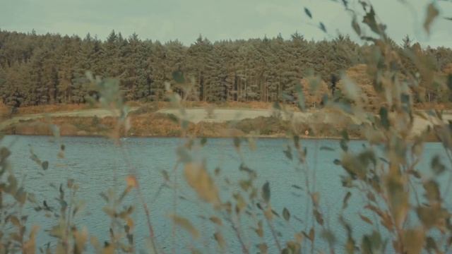 Canon RF 50mm 1.8 Cinematic Video with Canon EOS R using the C-Log ( 8-bit ) 2022 смотреть онлайн