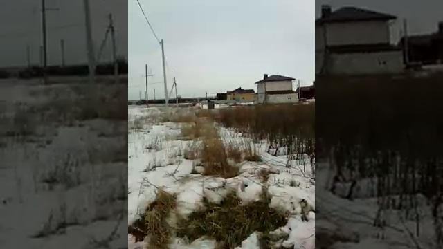 Разработка целины под теплицы. смотреть онлайн