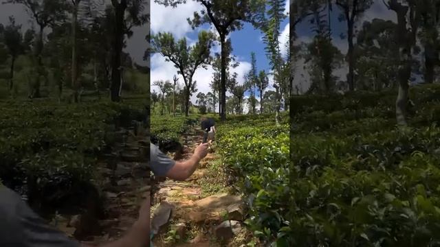 Видео отзыв об экскурсии август 2022 смотреть онлайн