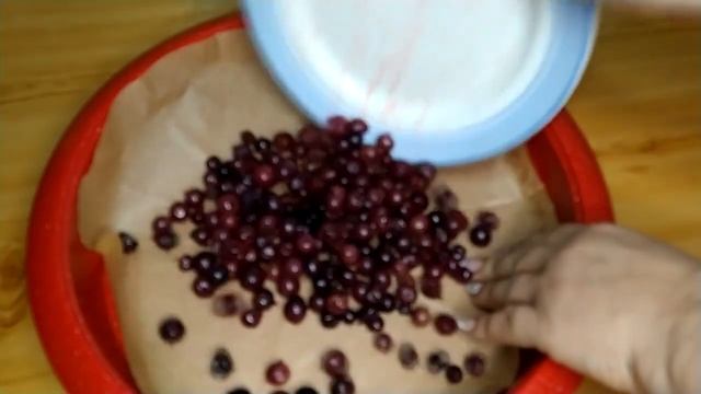 Психологический Консалтинг и Коучинг