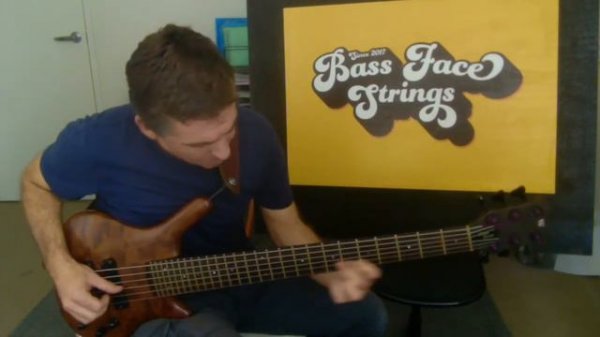 bassinyourface.com.au "Ken Smith Master Series" 6 string Stainless Steel strings