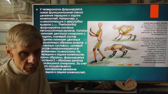Почему двуногий человек предок четвероногих животных, а не наоборот. Александр Белов 05.03.2024 г. смотреть онлайн