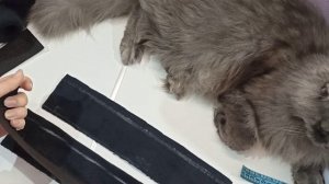 Чехлы для лезвий коньков своими руками