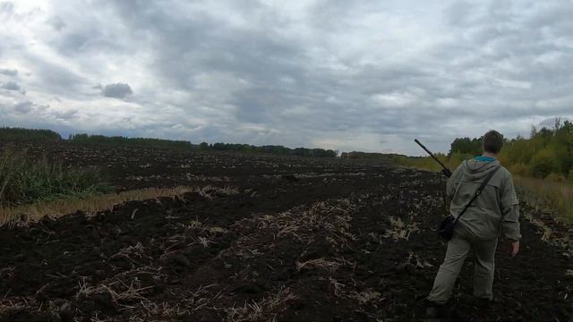 ОХОТА НА КУРОПАТОК \ ОХОТА НА ПЕРЕПЕЛА \ ОХОТА НА КУРОПАТКУ С КУРЦХААРОМ смотреть онлайн