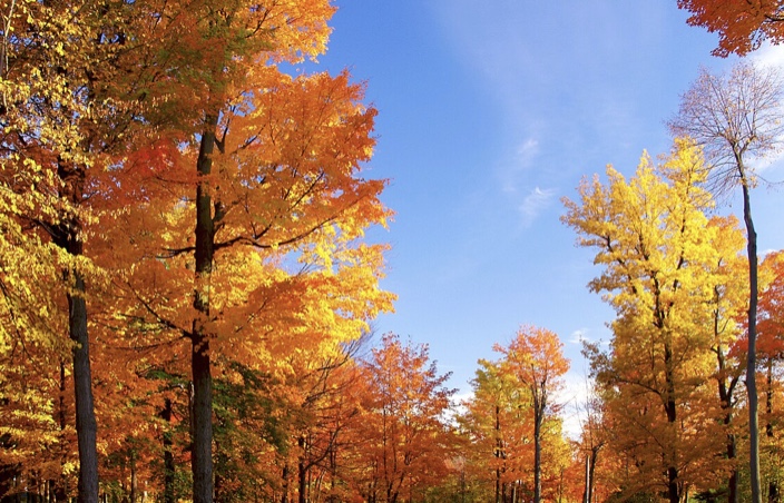 Осень в Москве смотреть онлайн