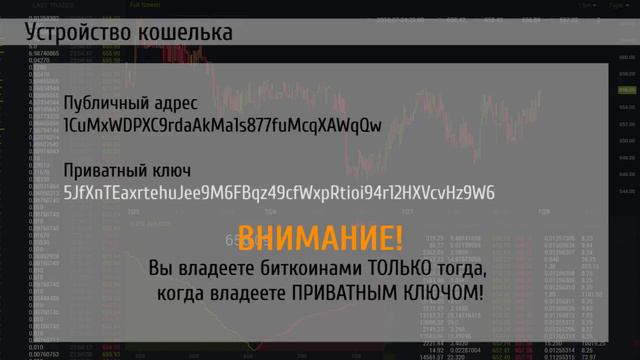 Информация о биткоин кошельках. Что нужно знать? смотреть онлайн