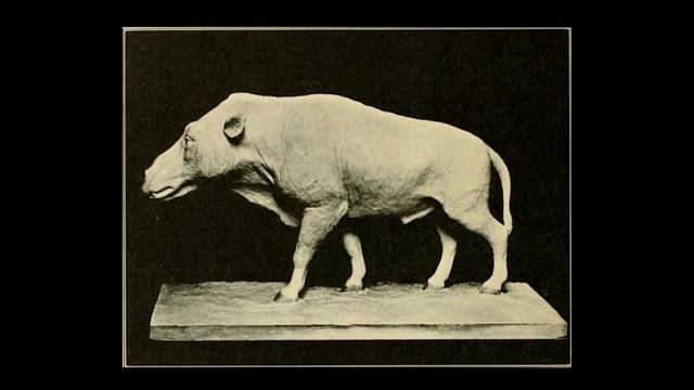 Daeodon at the Door EXPLAINED смотреть онлайн