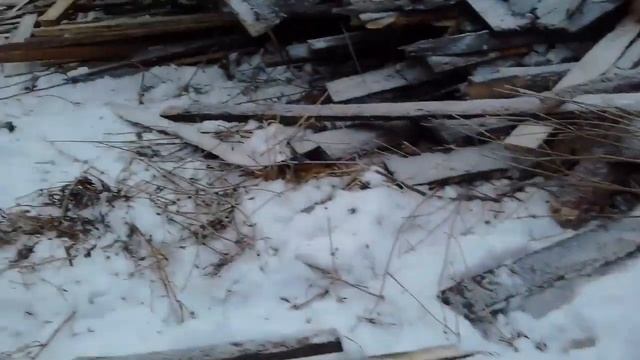 Дрова с лесопилки (с работы) Сухой горбыль и всякий хлам смотреть онлайн