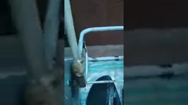 суперклей домашнего производства!!! 29.06.21. смотреть онлайн