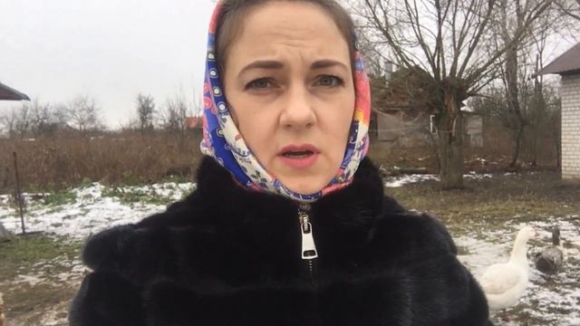 как мы купили дом в деревне 120 кв.м с участком 50 соток смотреть онлайн