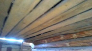 АНТИЖУК! Защита дерева от жуков! Народные методы.