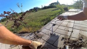 Как надолго убрать сорняки на плитке. Борьба с сорняками