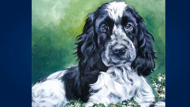 Английский кокер спаниель (English cocker spaniel) смотреть онлайн