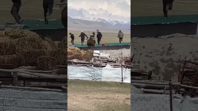 Горный Алтай, Кош - Агач. смотреть онлайн