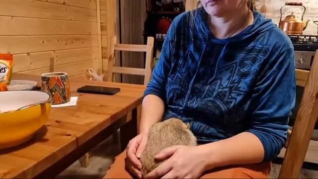 31 декабря, стрим смотреть онлайн