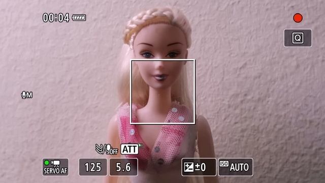 Best Video Recording Quality For Canon Picture Style Settings смотреть онлайн