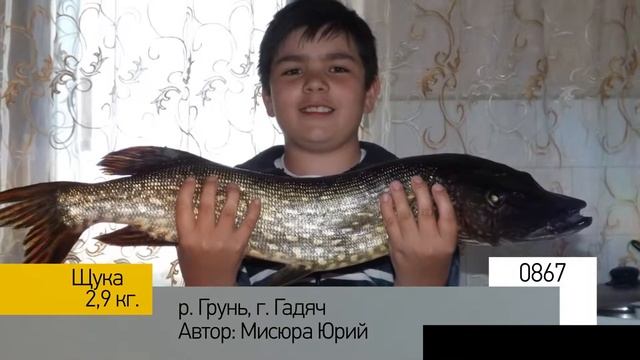 Фотоальбом - Рыбалка №173 смотреть онлайн