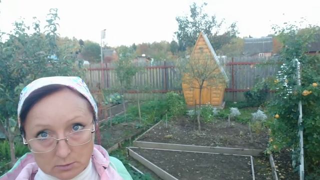 Видео привет с 6 соток 6 октября 2022 год. смотреть онлайн