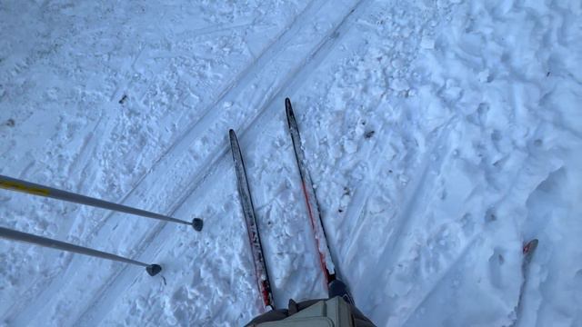 Первый и последний раз катаемся на лыжах. Влог. Москва. смотреть онлайн
