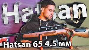 Hatsan 65 4.5 мм (дерево, 3 Дж) видео обзор