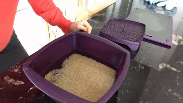 Steamer Brown Rice смотреть онлайн