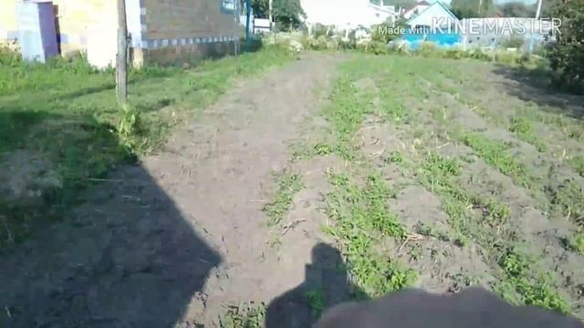 Самодельная картофелекопалка(трасунец) смотреть онлайн