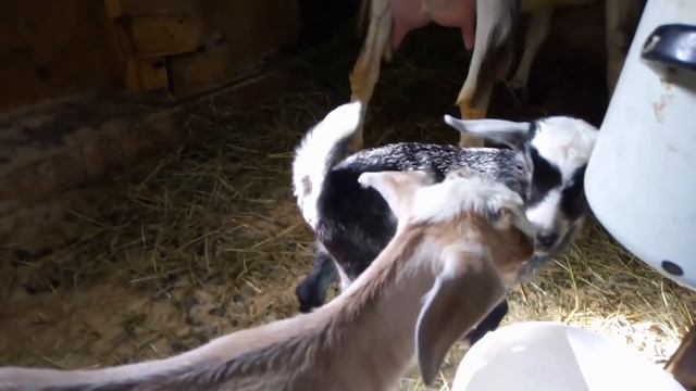 Один ЛЕНИВЫЙ жаркий день в июле / Жара в Карелии / Озера Карелии смотреть онлайн