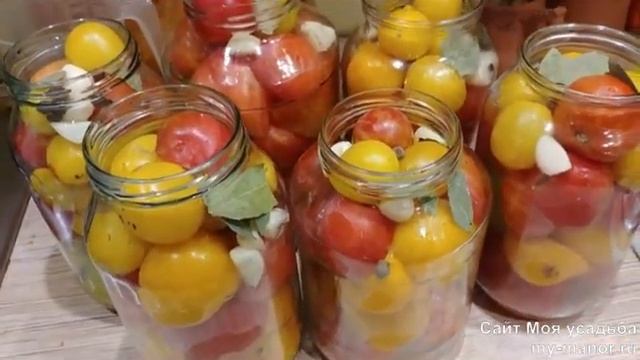 ТОМАТЫ В ЖЕЛЕ. Заготовка на зиму смотреть онлайн