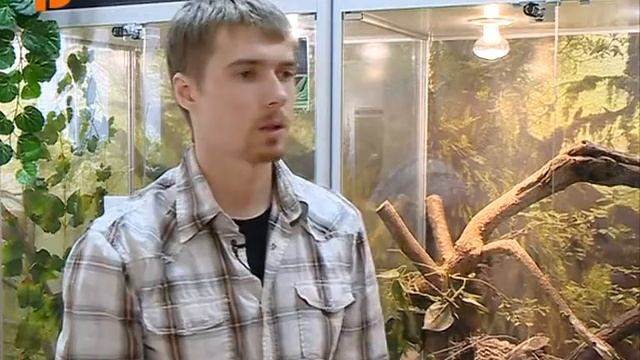 Варан южноазиатский (Varanus rudicolis) смотреть онлайн