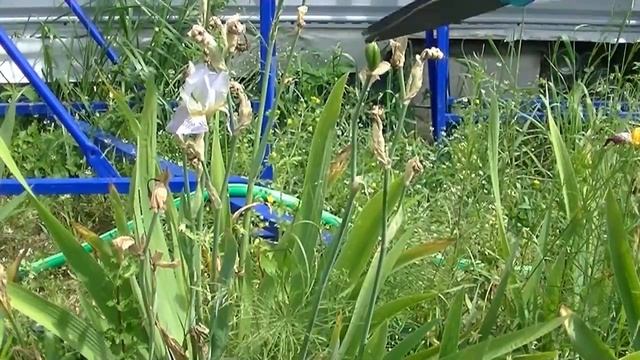 Строительный Гид