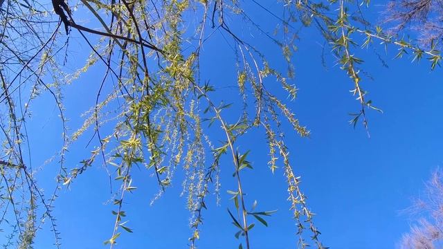 2K Ростов-на-Дону. ВЕСНА ПРОДОЛЖАЕТСЯ! смотреть онлайн