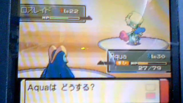 Pokemon Platinum: Gym 2 Gardenia