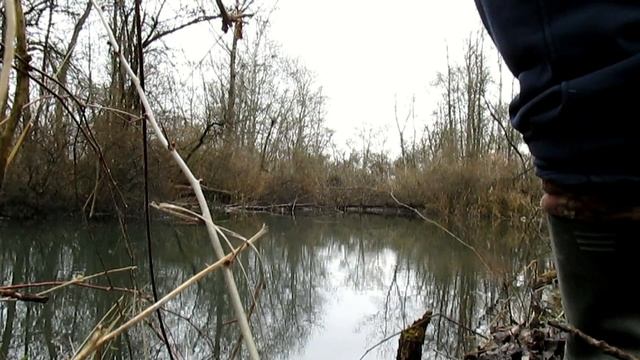 Спиннинг рыбалка . ГОЛАВЛЬ на смит камион. бешенный клев смотреть онлайн