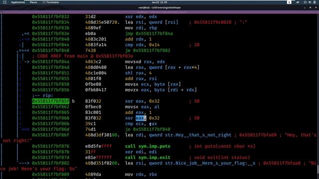 Reversing - What's the Password: Revisited - RiceTeaCatPanda CTF [Walkthrough] смотреть онлайн