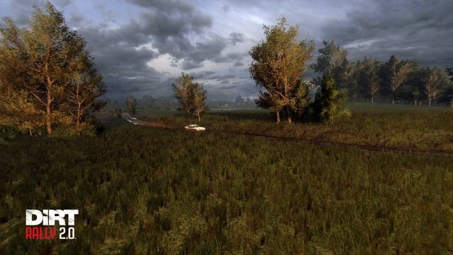 DirtRally 2.0 (Poland：Łęczna County - Jezioro Rotcze) @ Porsche 911 SC RS(multi View)