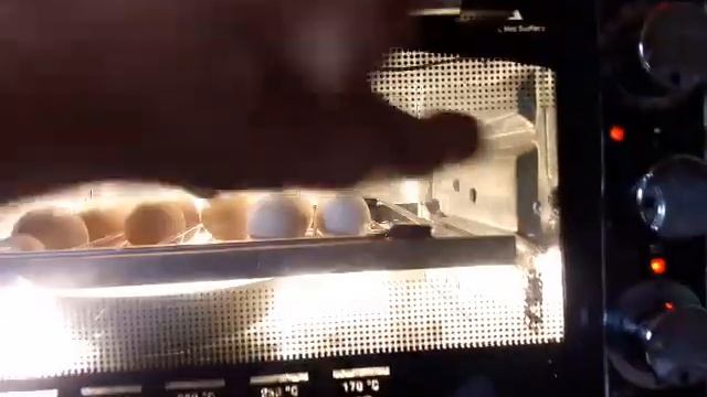 Инкубатор для яиц своими руками первый опыт смотреть онлайн