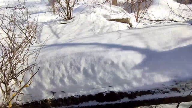 Заброшенная ферма! смотреть онлайн