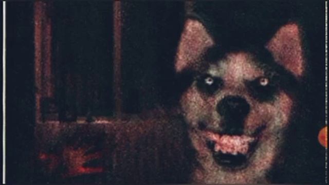 смайл дог 2 смотреть онлайн