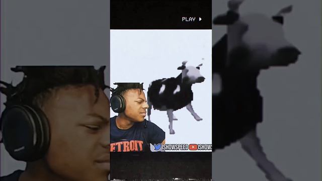 ISHOWSPEED REACTS TO POLISH COW😂😹 смотреть онлайн