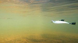 Zomber RELIGA Kite - твитчинг на месте