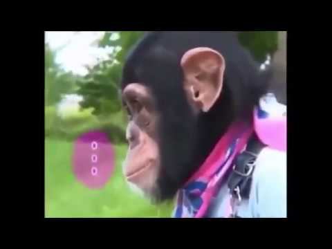 Дружба смотреть онлайн