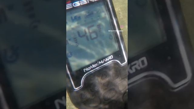 Underwater Metal Detecting In Sydney Harbour - Coin Fest! смотреть онлайн